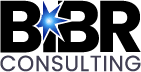 BIBR Consulting ApS